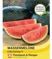 Thompson & Morgan Wassermelone Little Darling